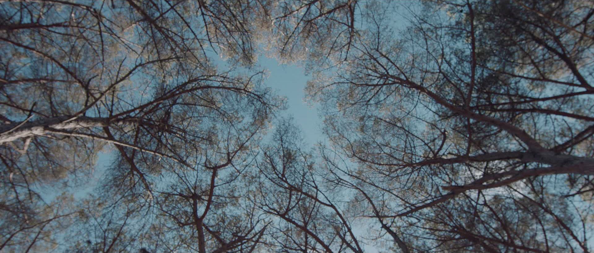 En mi Piel - Niko Directed by Adrian Egea & Cinematography by Alejandro H. Madrid