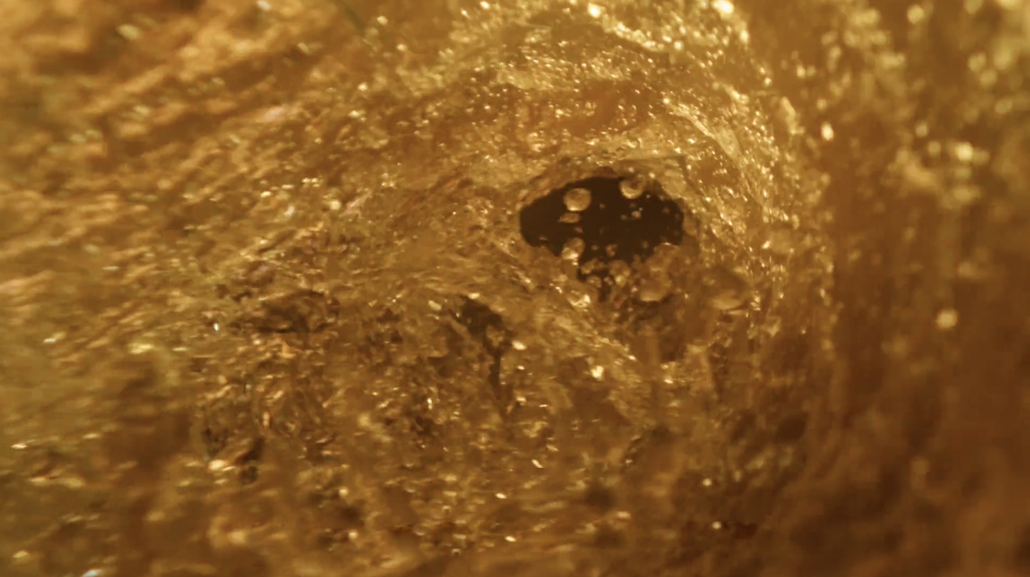 Aguila by Alejandro H. Madrid - Cinematographer