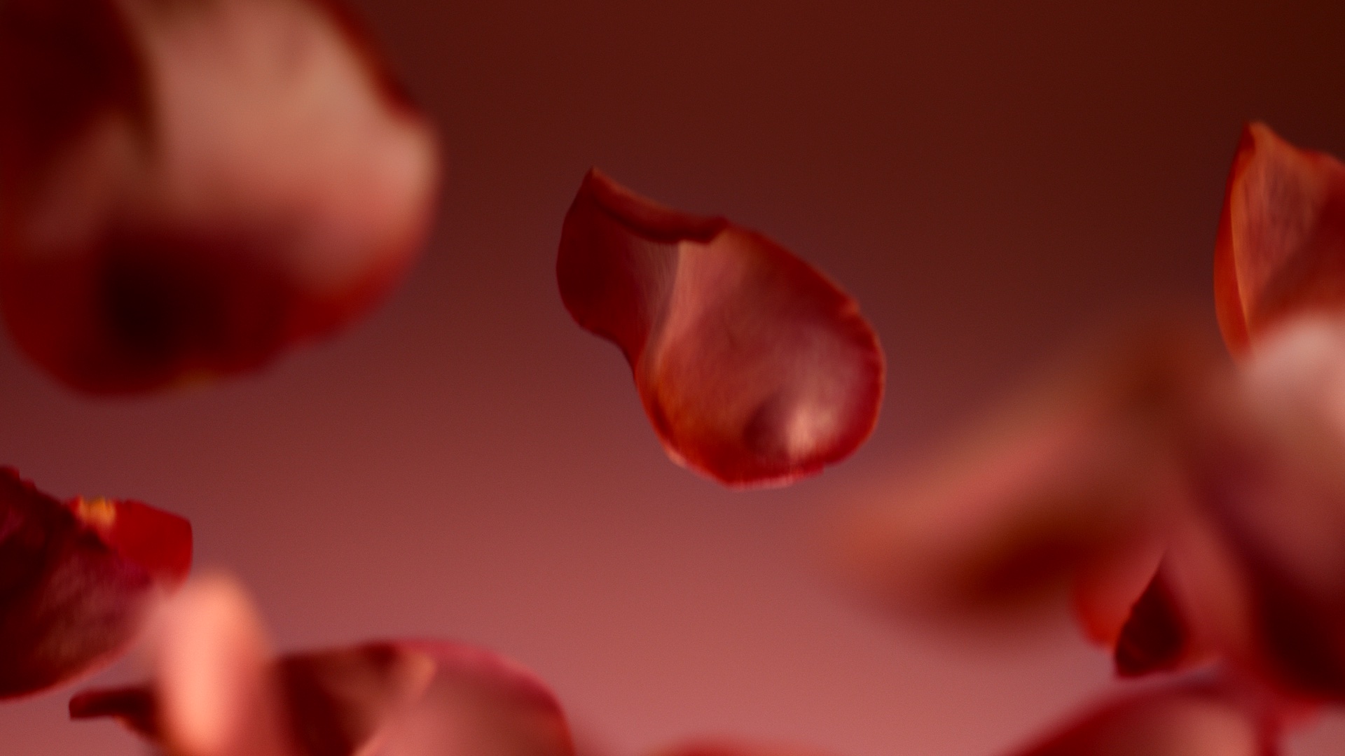 Dr. Vranjes by Alejandro H. Madrid - Cinematographer