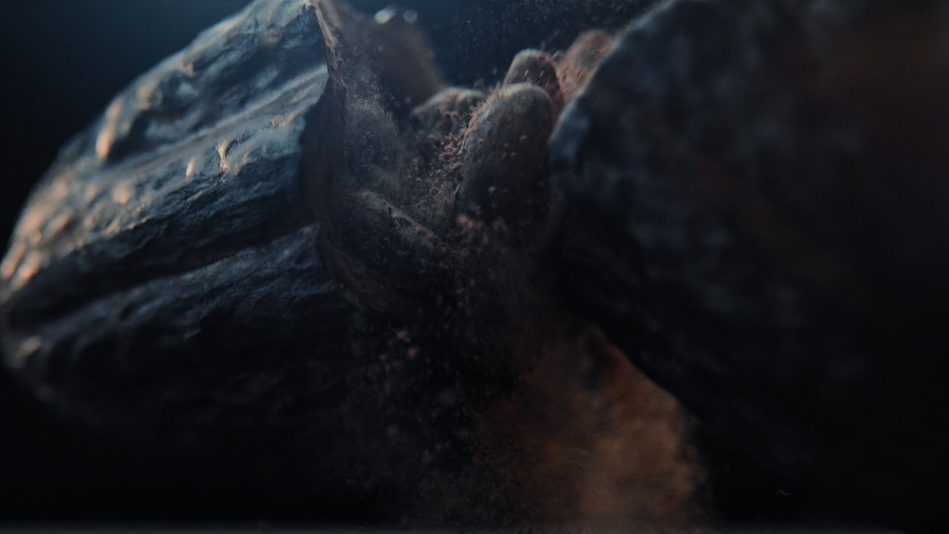 Simon Coll by Alejandro H. Madrid - Cinematographer