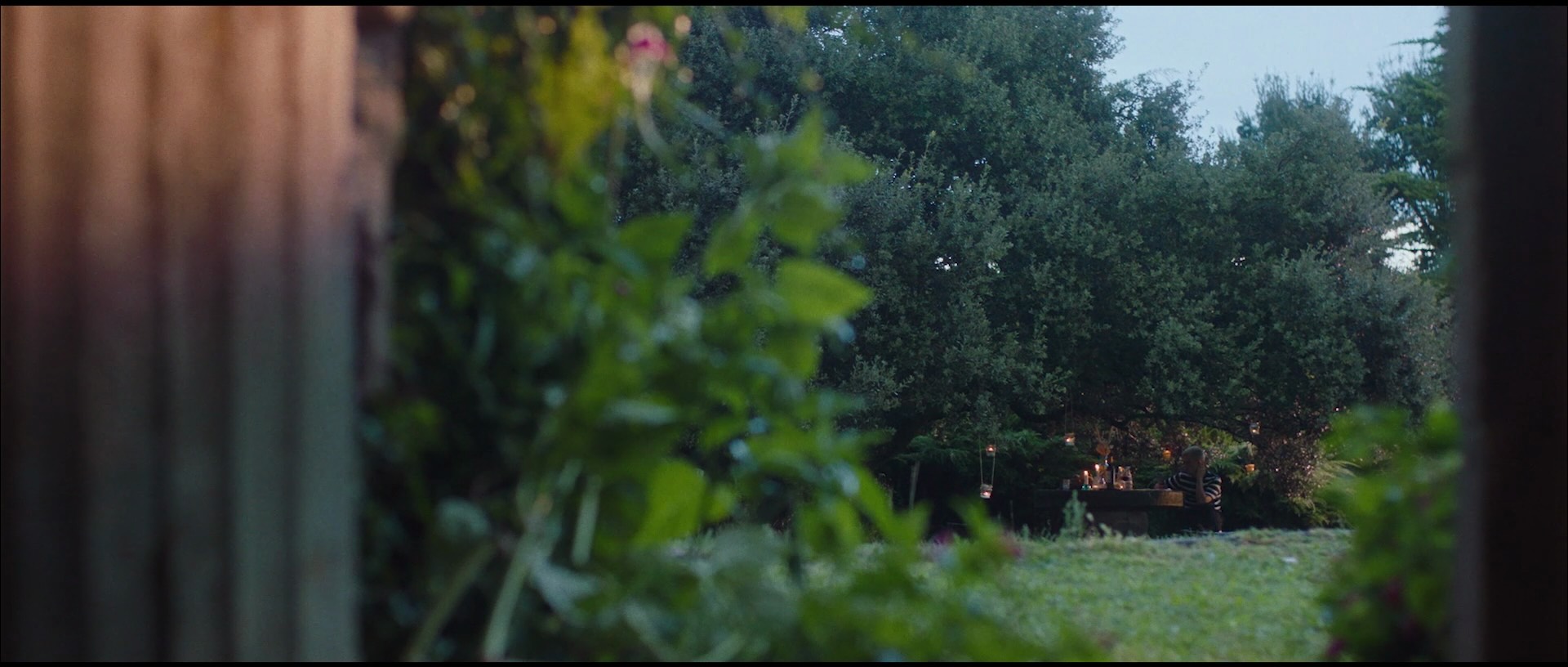 Wonderland Directed by Xavier Miralles & Cinematography by Alejandro H. Madrid 