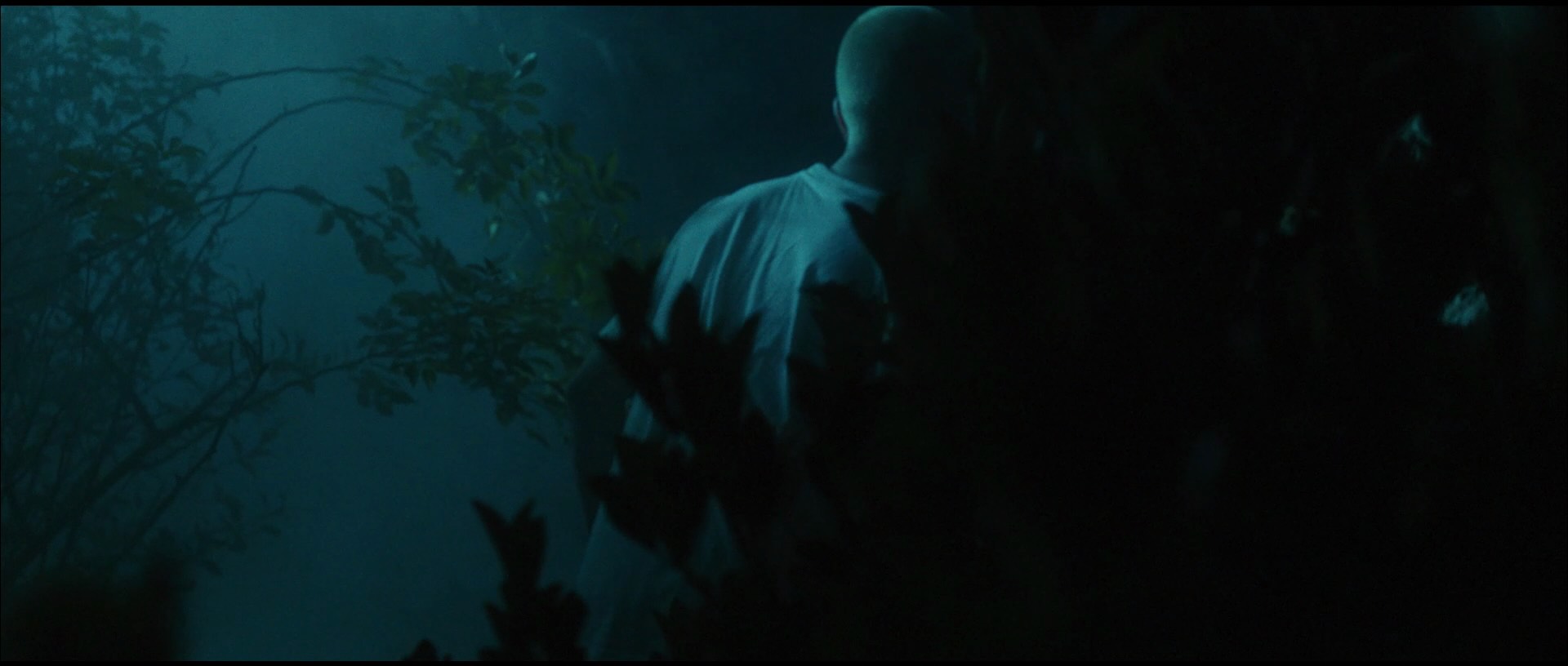 Wonderland Directed by Xavier Miralles & Cinematography by Alejandro H. Madrid 