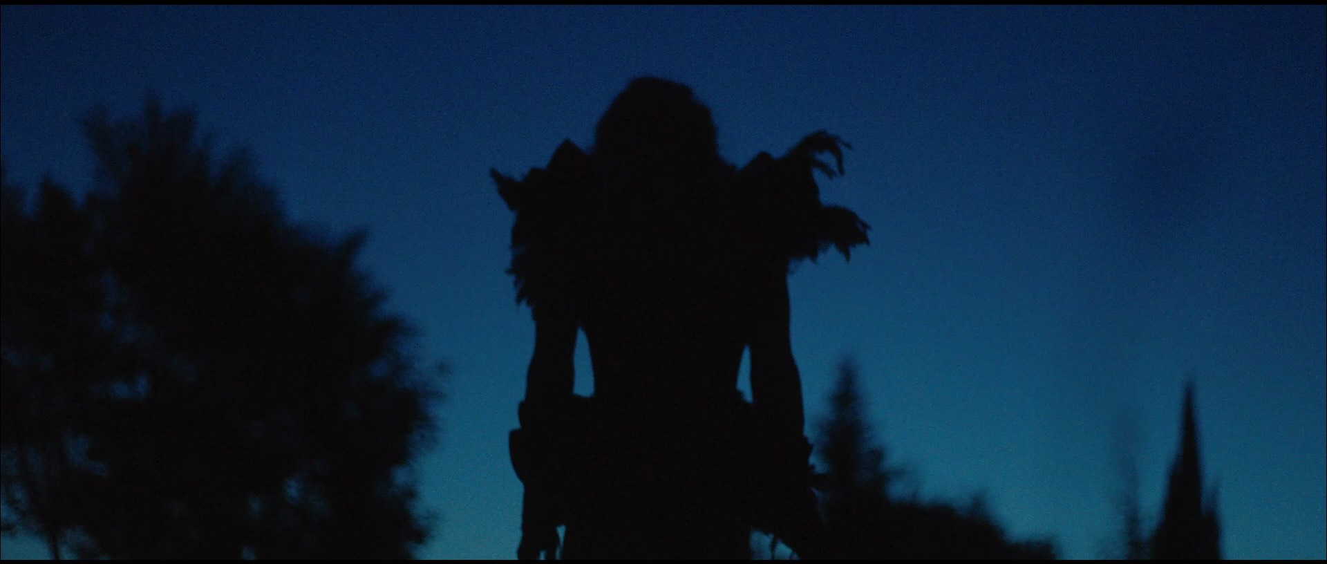 Wonderland Directed by Xavier Miralles & Cinematography by Alejandro H. Madrid 